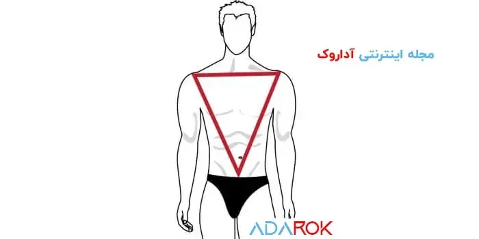 شکل بدن مثلث وارونه